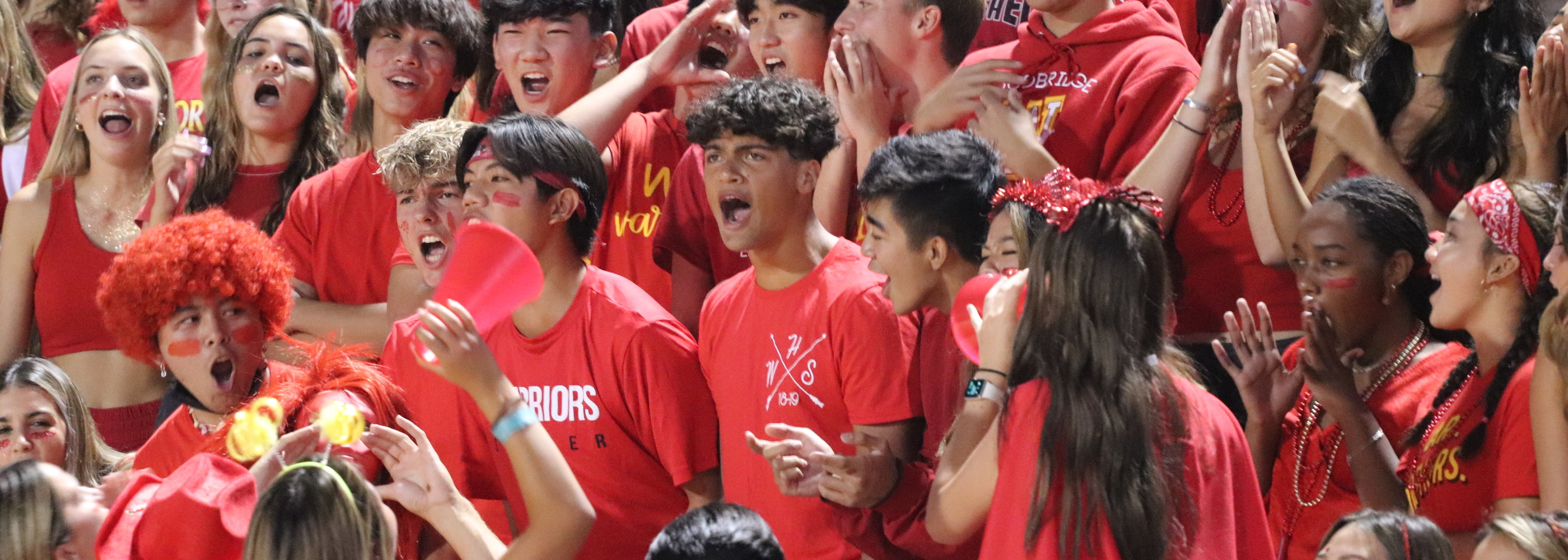 football crowd